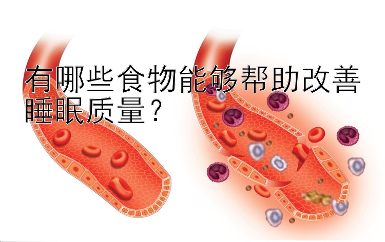 有哪些食物能够帮助改善睡眠质量？