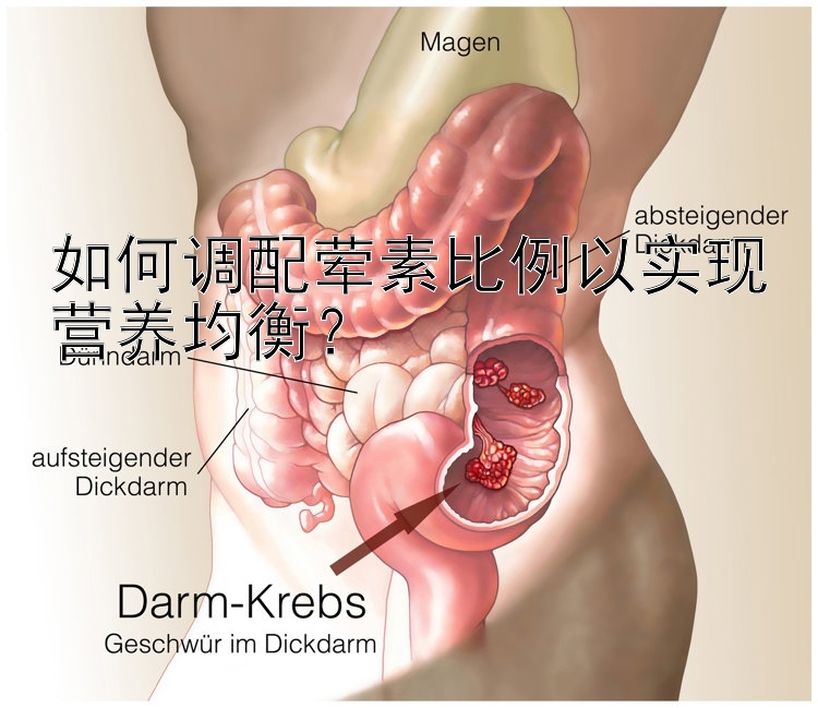 如何调配荤素比例以实现营养均衡？