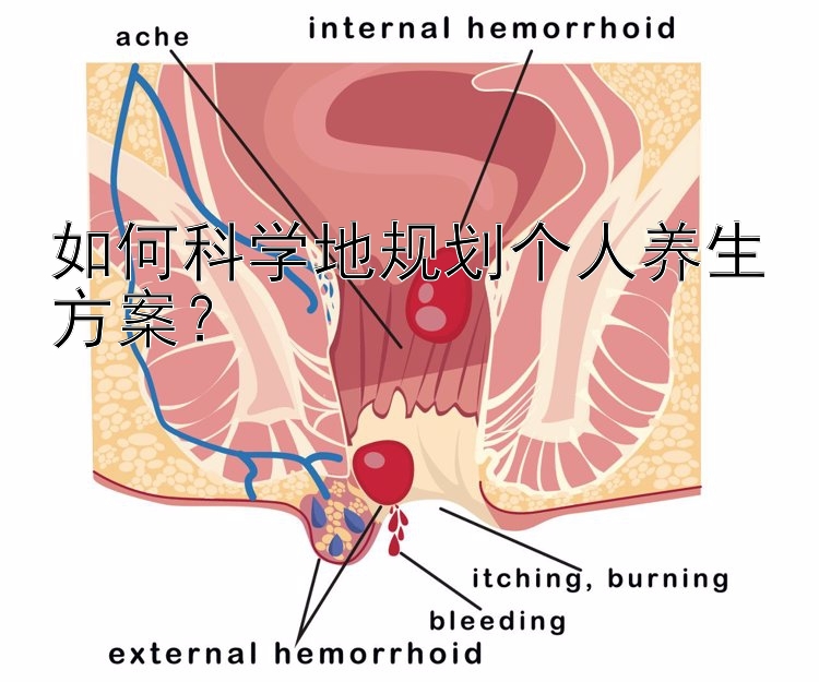 如何科学地规划个人养生方案？