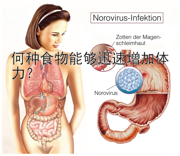 何种食物能够迅速增加体力？