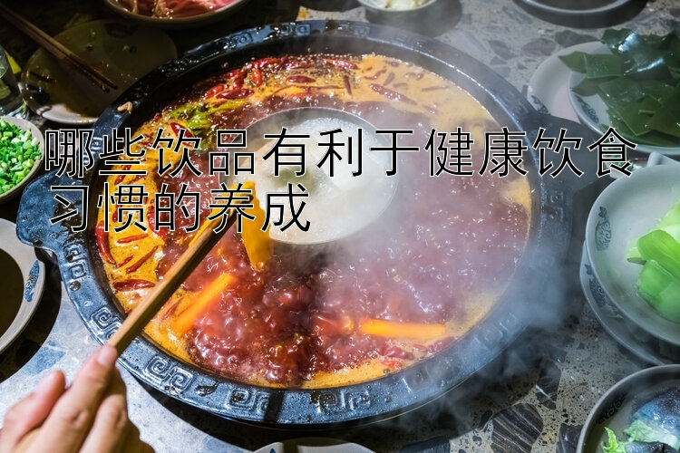 哪些饮品有利于健康饮食习惯的养成