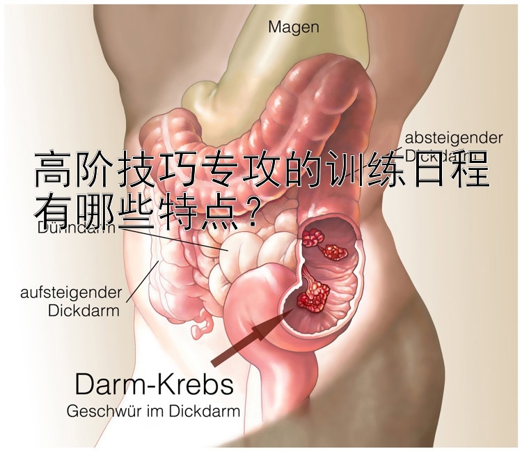 高阶技巧专攻的训练日程有哪些特点？