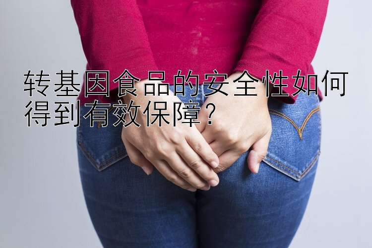 转基因食品的安全性如何得到有效保障？