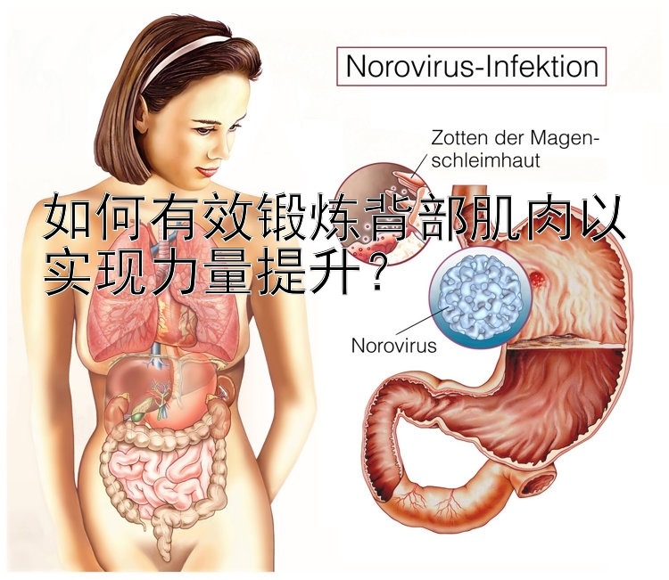 如何有效锻炼背部肌肉以实现力量提升？