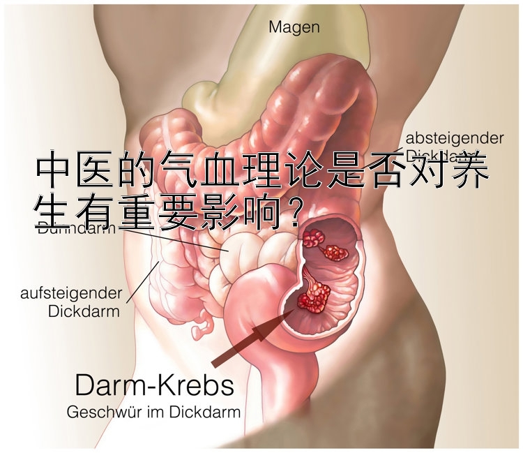 中医的气血理论是否对养生有重要影响？