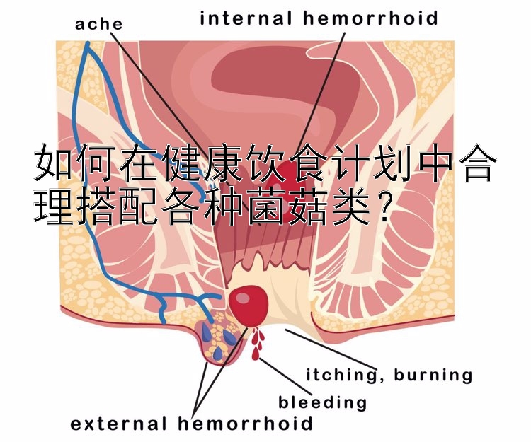 如何在健康饮食计划中合理搭配各种菌菇类？