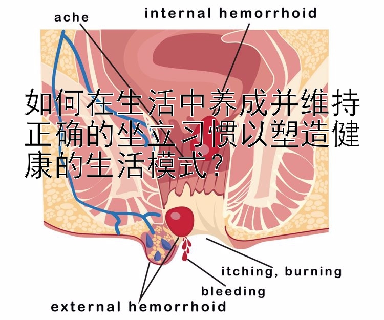 如何在生活中养成并维持正确的坐立习惯以塑造健康的生活模式？