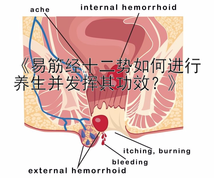 《易筋经十二势如何进行养生并发挥其功效？》