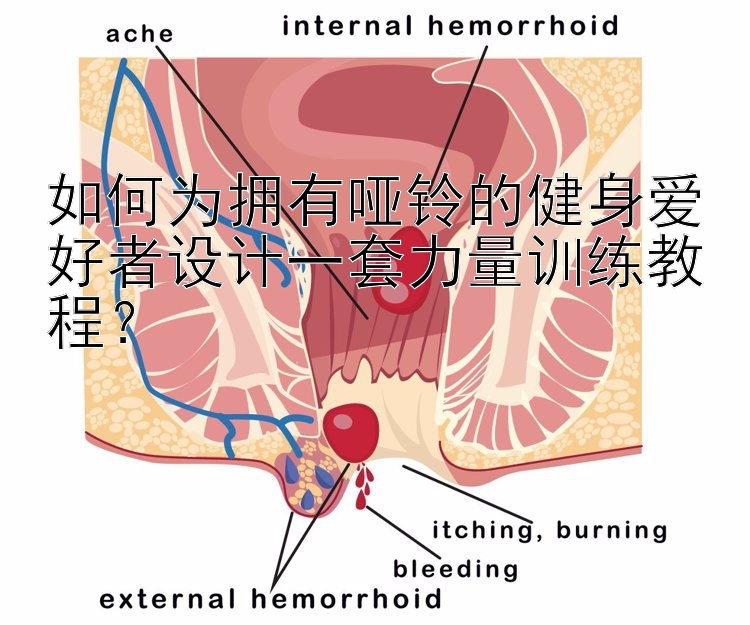 如何为拥有哑铃的健身爱好者设计一套力量训练教程？