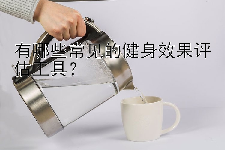 有哪些常见的健身效果评估工具？