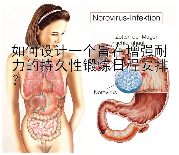 如何设计一个旨在增强耐力的持久性锻炼日程安排？