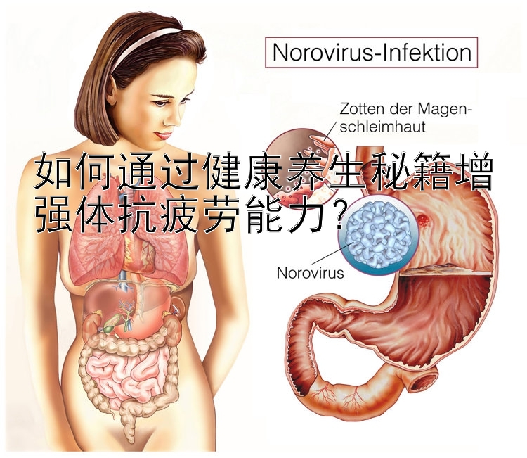 如何通过健康养生秘籍增强体抗疲劳能力？