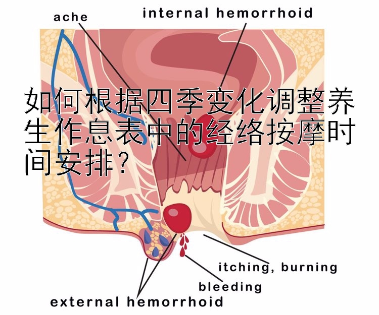 如何根据四季变化调整养生作息表中的经络按摩时间安排？