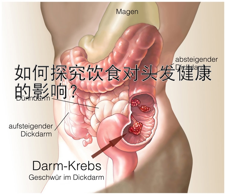 如何探究饮食对头发健康的影响？