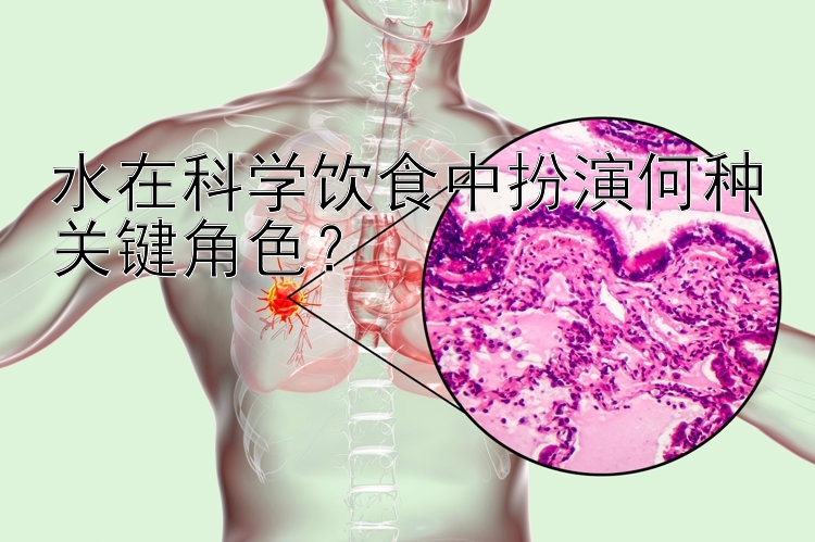 水在科学饮食中扮演何种关键角色？