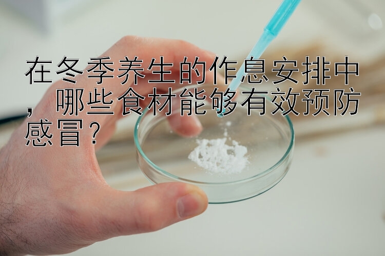 168极速赛车正版官网在冬季养生的作息安排中，哪些食材能够有效预防感冒？