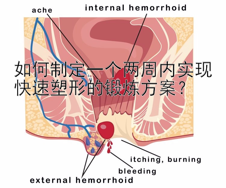 如何制定一个两周内实现快速塑形的锻炼方案？