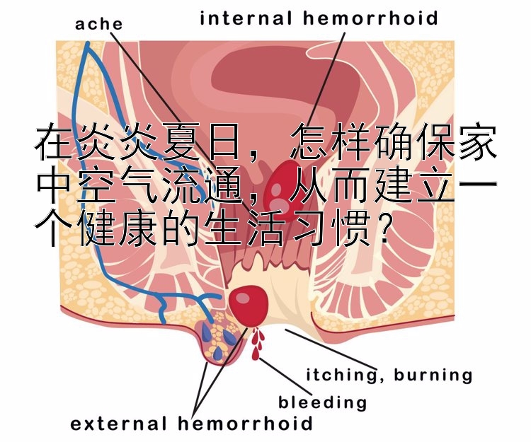 在炎炎夏日，怎样确保家中空气流通，从而建立一个健康的生活习惯？