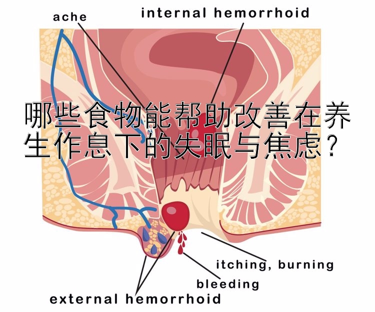 哪些食物能帮助改善在养生作息下的失眠与焦虑？