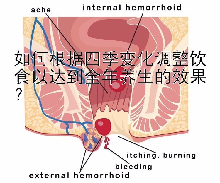 如何根据四季变化调整饮食以达到全年养生的效果？