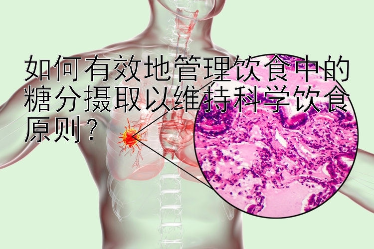 如何有效地管理饮食中的糖分摄取以维持科学饮食原则？