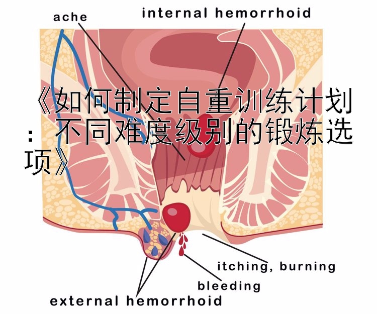 《如何制定自重训练计划：不同难度级别的锻炼选项》