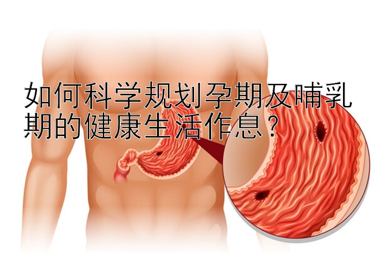 如何科学规划孕期及哺乳期的健康生活作息？