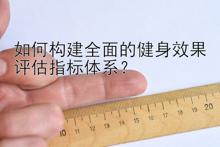 如何构建全面的健身效果评估指标体系？