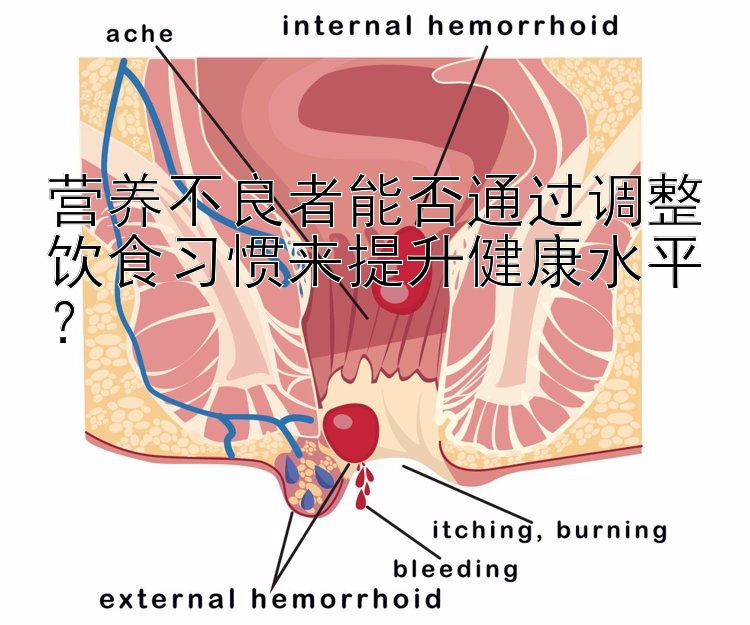 营养不良者能否通过调整饮食习惯来提升健康水平？