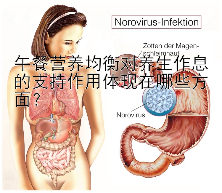 午餐营养均衡对养生作息的支持作用体现在哪些方面？