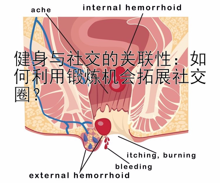 健身与社交的关联性：如何利用锻炼机会拓展社交圈？