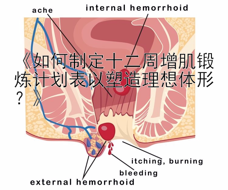 《如何制定十二周增肌锻炼计划表以塑造理想体形？》