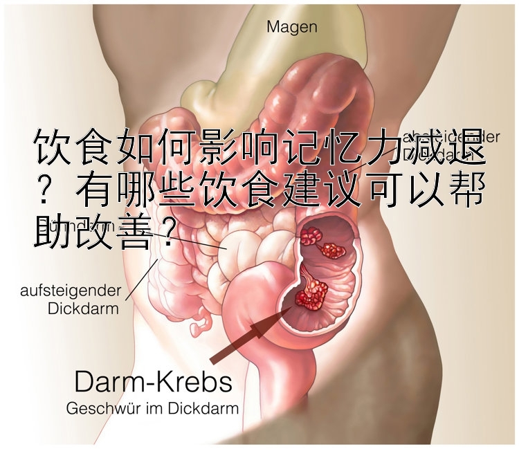 饮食如何影响记忆力减退？有哪些饮食建议可以帮助改善？