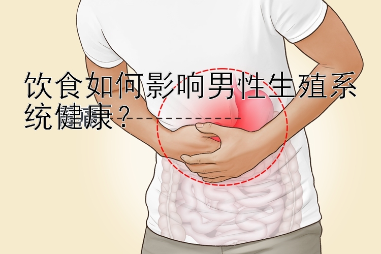 饮食如何影响男性生殖系统健康？