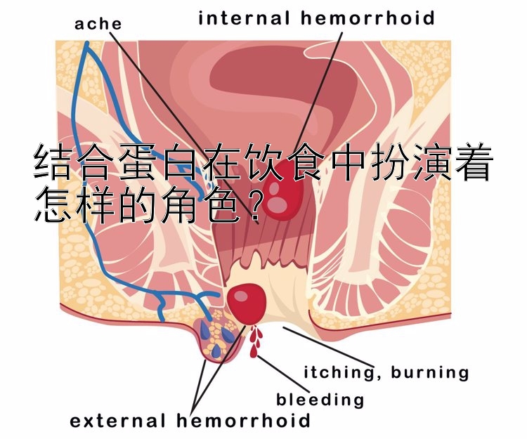 结合蛋白在饮食中扮演着怎样的角色？