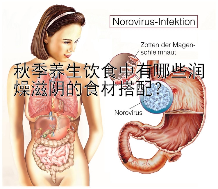 秋季养生饮食中有哪些润燥滋阴的食材搭配？