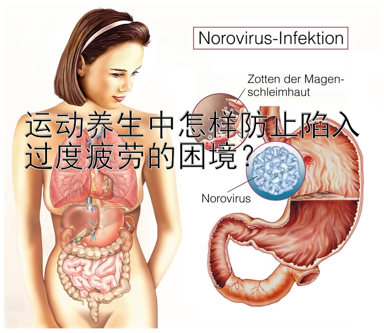 运动养生中怎样防止陷入过度疲劳的困境？