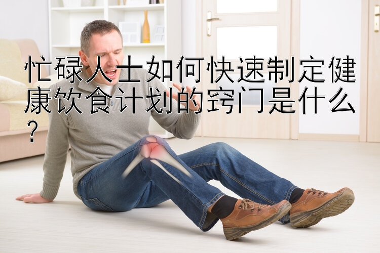 忙碌人士如何快速制定健康饮食计划的窍门是什么？