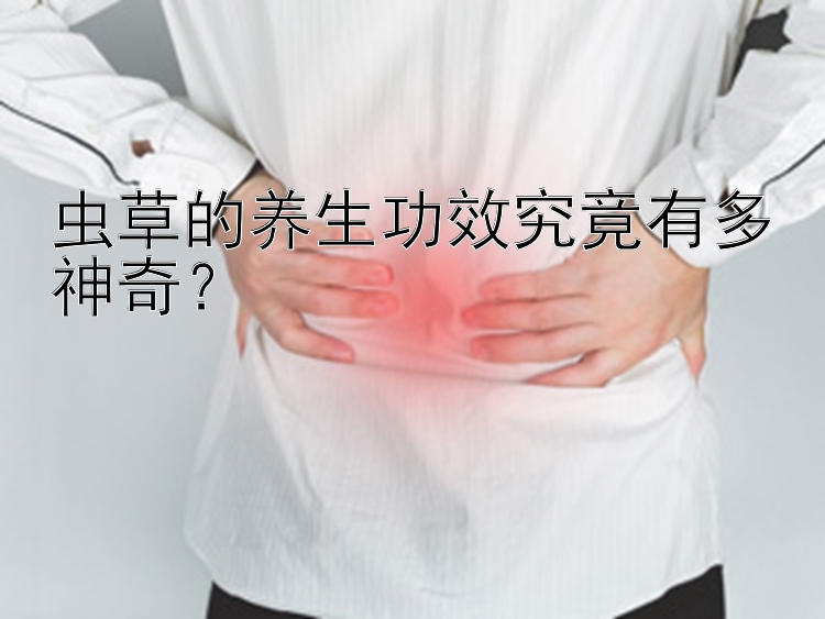 虫草的养生功效究竟有多神奇？