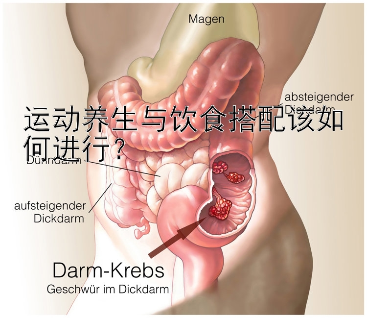 运动养生与饮食搭配该如何进行？