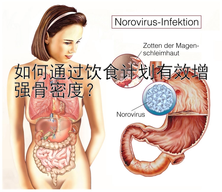 如何通过饮食计划有效增强骨密度？