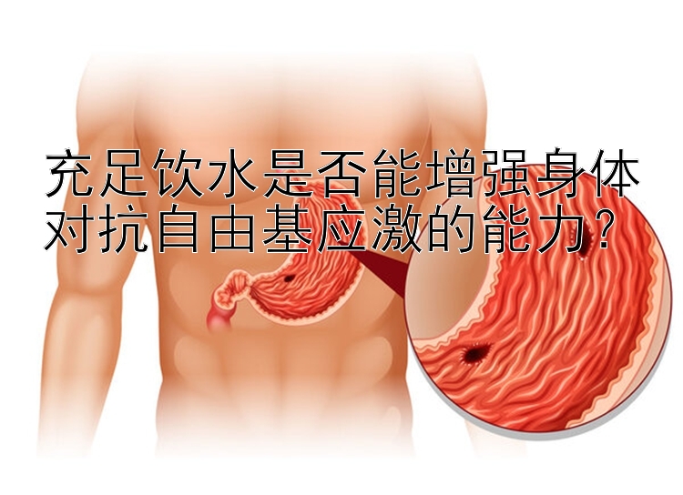 充足饮水是否能增强身体对抗自由基应激的能力？