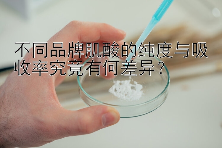 不同品牌肌酸的纯度与吸收率究竟有何差异？