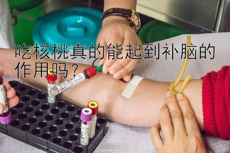 吃核桃真的能起到补脑的作用吗？