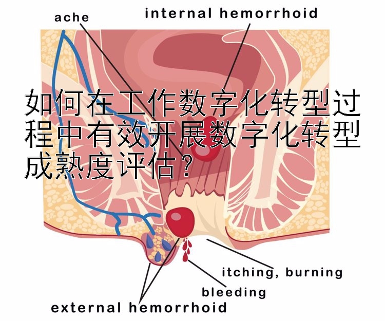 如何在工作数字化转型过程中有效开展数字化转型成熟度评估？