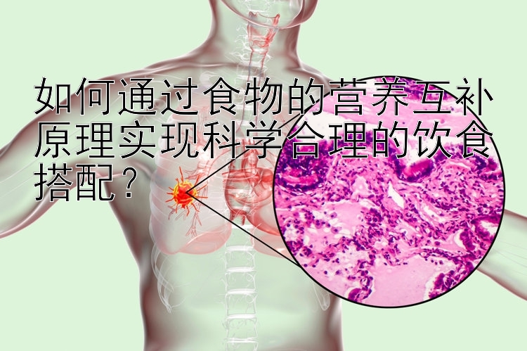 如何通过食物的营养互补原理实现科学合理的饮食搭配？